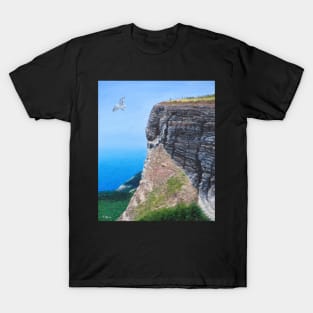 St Catherine's Point T-Shirt
